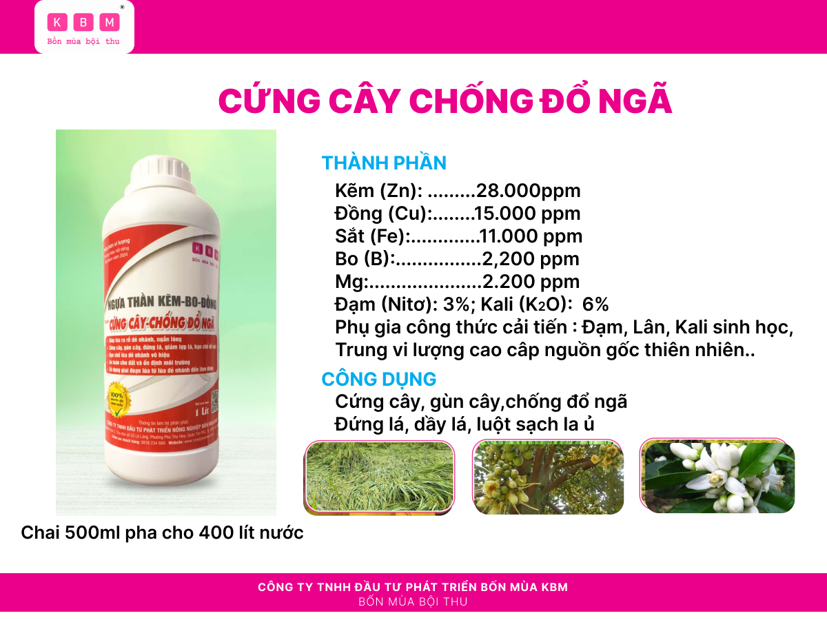 CỨNG CÂY CHỐNG ĐỖ NGÃ