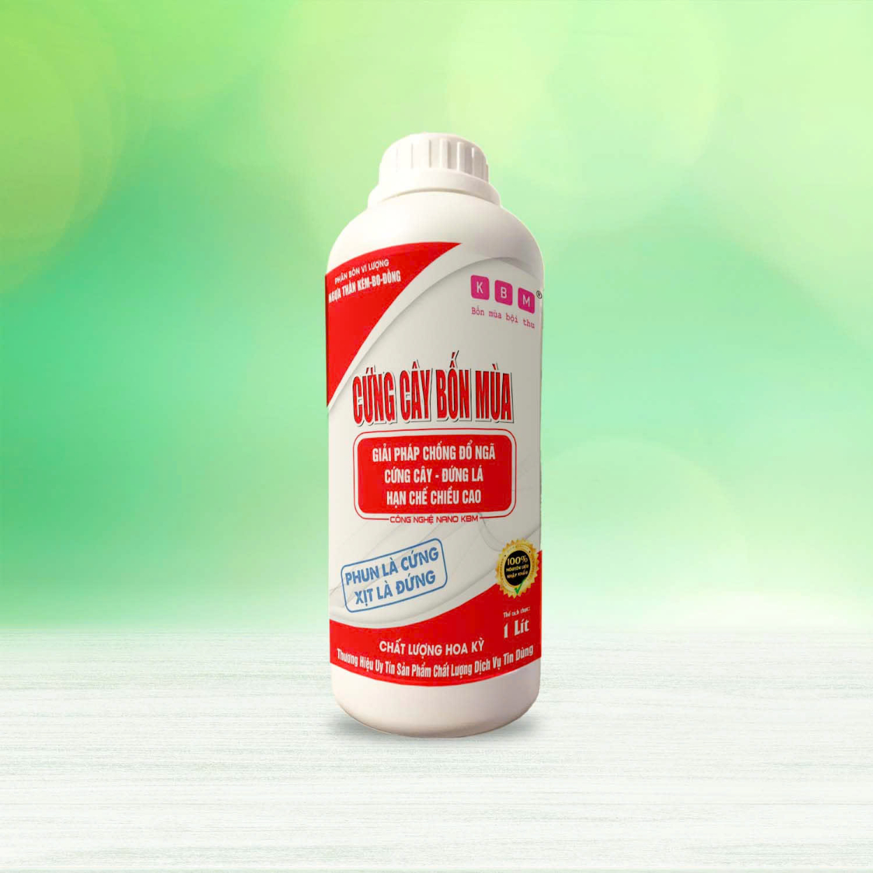 CỨNG CÂY 4 MÙA